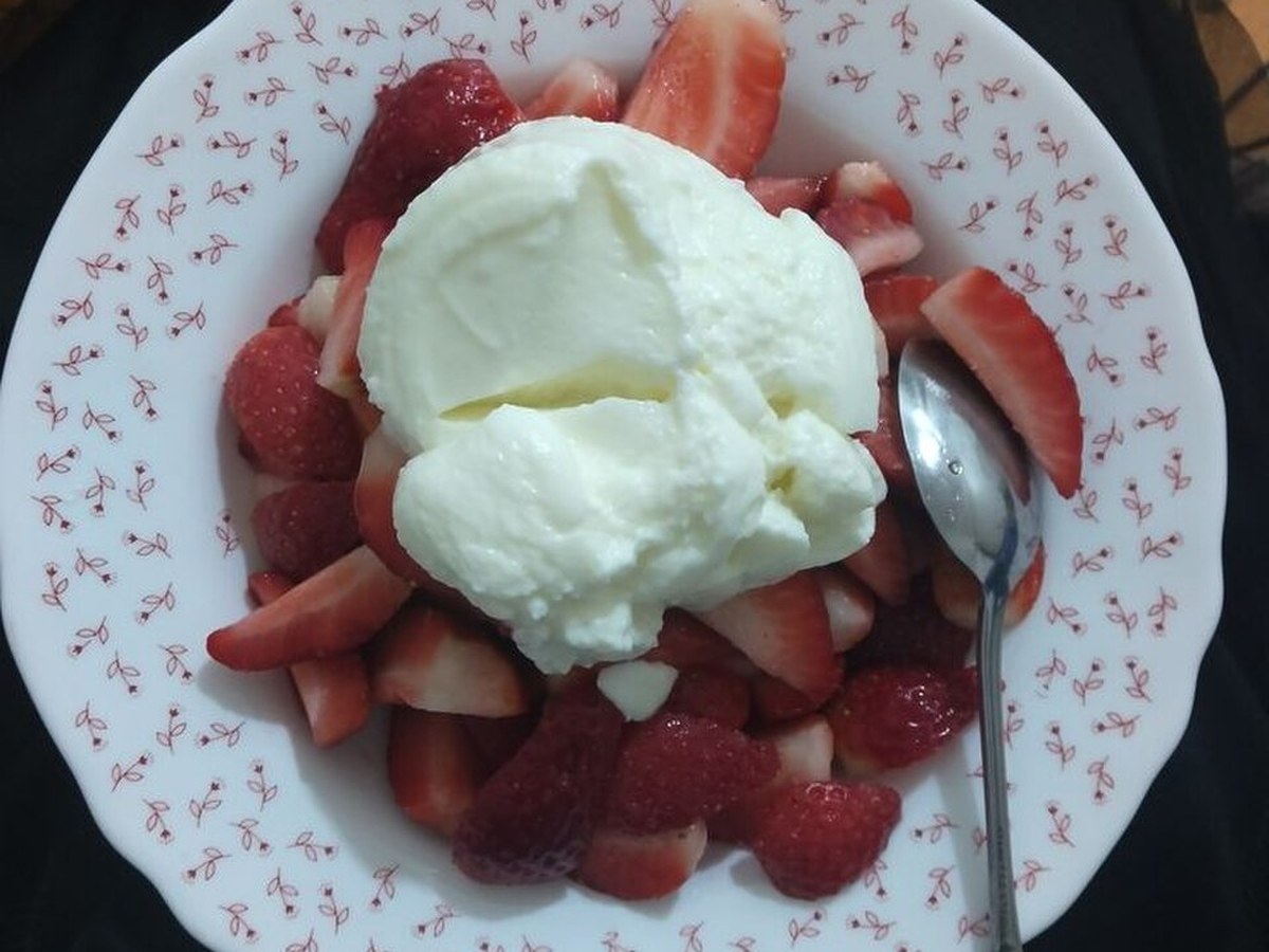 Dairy & Yogurt